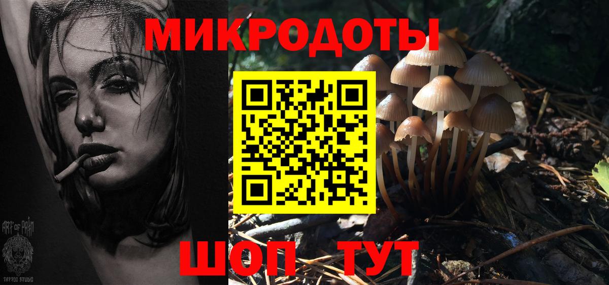 Псилоцибиновые грибы Psilocybine cubensis Чебаркуль