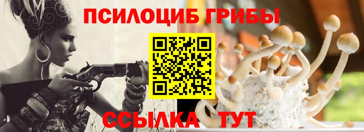 Галлюциногенные грибы мицелий  Вход с VPN  Чебаркуль 